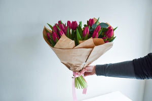 Galentines tulips